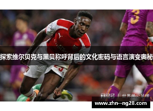 探索维尔贝克与黑贝称呼背后的文化密码与语言演变奥秘 探索维尔贝克与黑贝称呼背后的文化密码与语言演变奥秘
