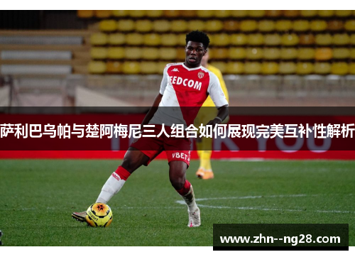 萨利巴乌帕与楚阿梅尼三人组合如何展现完美互补性解析 萨利巴乌帕与楚阿梅尼三人组合如何展现完美互补性解析